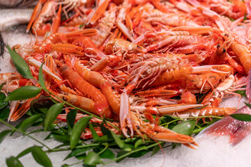 Freshly caught langoustines are on ice with green leaves at a street seafood market in Paris, France. The orange-pink crustaceans are piled up for sale.