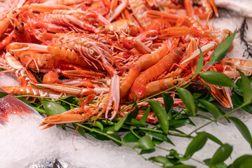 Freshly caught langoustines are on ice with green leaves at a street seafood market in Paris, France. The orange-pink crustaceans are piled up for sale.