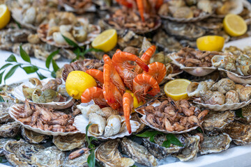 A large seafood platter with a variety of fresh seafood, including oysters, whelks, shrimp, prawns, and scallops, is a presentation of the market's assortment and a tasting set in Paris, France.