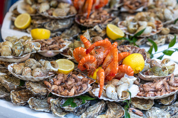 A large seafood platter with a variety of fresh seafood, including oysters, whelks, shrimp, prawns, and scallops, is a presentation of the market's assortment and a tasting set in Paris, France.