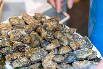 A vendor is arranging fresh oysters and clams on a white platter at a street seafood market in Paris, France.