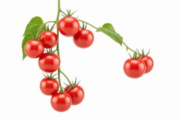 Frische, rote Cherry-Tomaten auf dem Zweig &ndash; Nahaufnahme der saftigen Fr&uuml;chte