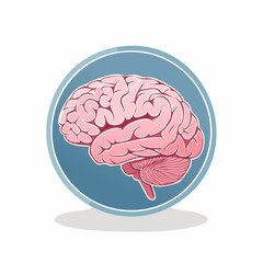 Pink human brain illustration with cerebellum and brainstem inside a blue circle