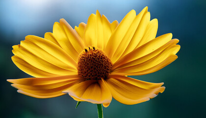 Yellow Flower With Cute Petals