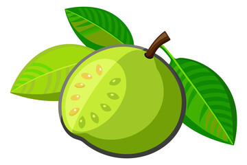 green guava with leaf