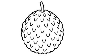 vector illustration of an litchi