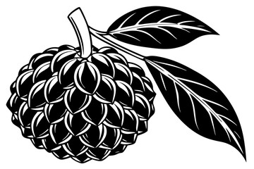 vector illustration of a litchi