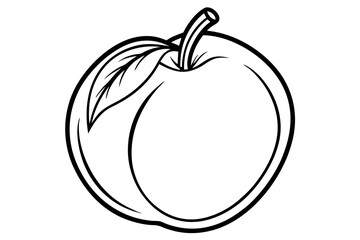 vector illustration of an peach