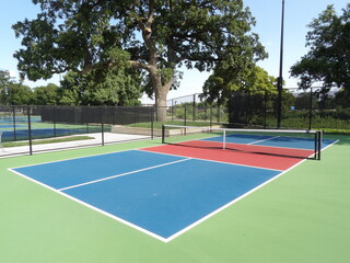 Colorful Outdoor Pickleball Court
