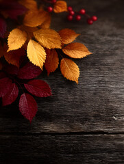 Orange-red leaves are placed on a wooden floor decorated with small red fruits.