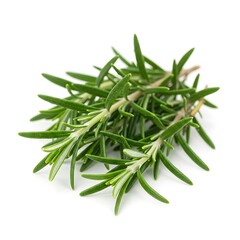 Fototapeta premium rosemary sprigs fresh green, isolated on white background