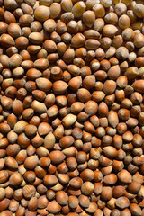 Haselnüsse als Hintergrundbild