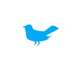 Flying American blue warbler bird Silhouette Design And Vector Illustration