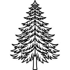 Obraz premium Douglas‑fir line art vector