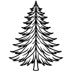 Douglas‑fir line art vector