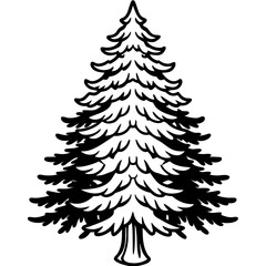 Obraz premium Douglas‑fir line art vector