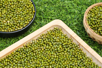 Organic Green Mung Beans in Wooden Bowls on Grass - Healthy Legumes and Natural Plant Protein