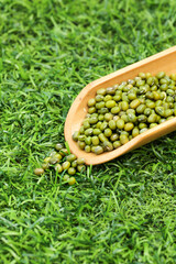 Organic Green Mung Beans in Wooden Bowl on Grass - Healthy Vegetarian Protein Ingredients