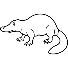 Platypus line art vector