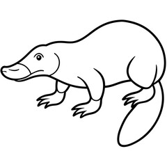 Obraz premium Platypus line art vector