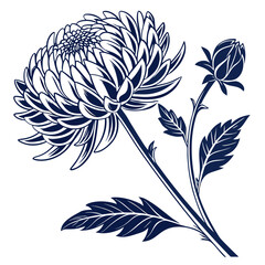 dahlia ball blue with leaves 