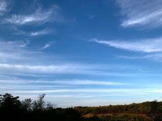 Cumulus clouds of various shapes and sizes, characteristic of clear weather. Some of them have the appearance of cirrus or stratocumulus clouds. The sky is bright blue.