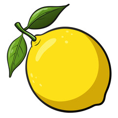 Fresh organic lemon vector illustration with a juicy leaf