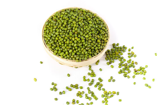 Organic Green Mung Bean Pellets in Farmhouse Basket - Small Northeastern Gourmet Legumes for Healthy Cooking