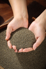 Organic Small Grains Cupped in Hands - Natural Farm Harvest Superfood