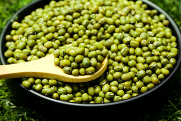 Fresh Green Mung Beans in Bowl with Wooden Spoon - Organic Healthy Legumes on Natural Grass Background