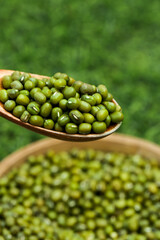 Fresh Organic Green Mung Beans in Wooden Spoon - Healthy Nutritious Legumes for Cooking