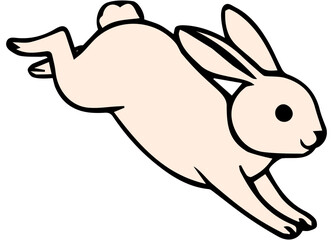 An illustration of a rabbit 토끼 일러스트