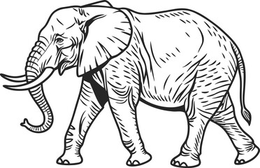 African Safari Wildlife Illustration. Safari Animals in Savannah. Lion and Elephant Safari Scene. Safari Giraffe Standing Tall. Safari Zebra in Grassland. Safari Rhino Wildlife Art. Safari Animals