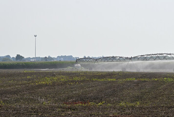 Pivot Irrigation in Mint Field