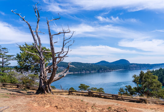 Fototapeta View from the Washington Park overlook on the loop road over the town of Anacortes on FIdalgo Island WA