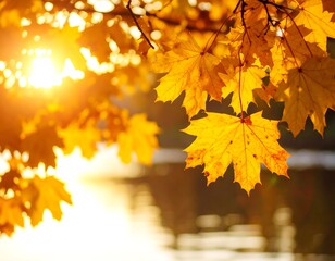 Obraz premium Autumn leaves bathed in sunlight by a water body