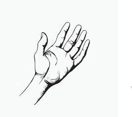illustration of a human hand