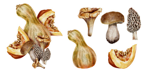 Watercolor set illustration mix autumn harvest elements whole and sliced pumpkins chanterelles morels and porcini mushrooms. for seasonal food design, packaging, cookbooks, and Thanksgiving themes