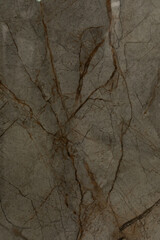Natural stone surface features intricate patterns and textures with a blend of muted tones and fine veins