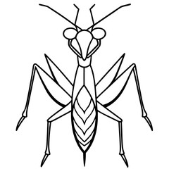 Praying mantis line art vector