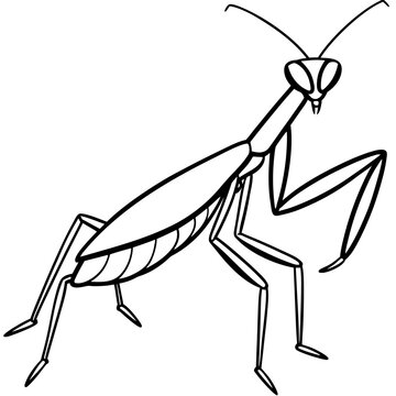 black and white praying mantis clip art preview