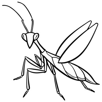 black and white praying mantis insect clip art preview