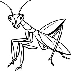 Praying mantis line art vector