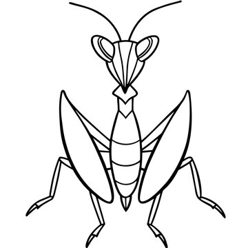 black and white praying mantis insect clip art preview