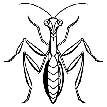black and white praying mantis clip art preview