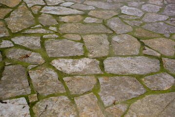 The texture of the natural stone on which the courtyard is paved with wide joints where green color or moss has appeared as a result of exposure to rain, i.e. water