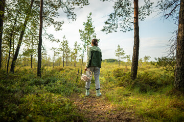 Fototapeta premium Woman hiker with backpack carrying basket on mushroom hunt walking alone along pine forest trail, reaching sunny edge lawn. Forest foraging, outdoor adventure, fungi picking, nature appreciation hobby