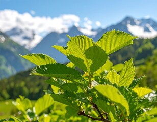 Green Leaves Against Mountain Background