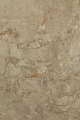 Textured marble surface with natural patterns showcasing earthy tones and intricate details