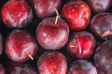 Fresh Red Plums with Water Droplets in Pile - Ripe Stone Fruit